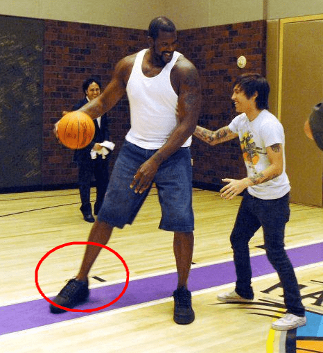 科曼：在我效力过的俱乐部中，特维斯是团队影响力最大的前锋（科曼：我效力过的球队里，特维斯是团队影响力最强的前锋）